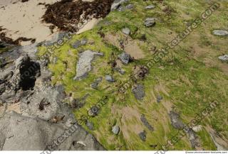 Photo of Mixed Los Angeles Textures